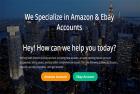 Amazon or Ebay account Suspension?