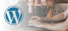 WordPress Development Solutions to Ensure Business Success