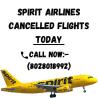 Spirit Airlines Cancelled Flights Today?