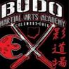 Budo Martial Arts Academy