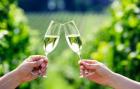 Opt for Hunter Valley Wine Tours Today! - Huntervalley.tours