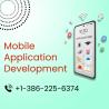 Professional Mobile Application Development Services