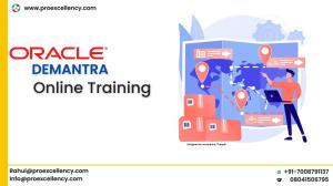 Learn Oracle Demantra Online From Industry Experts