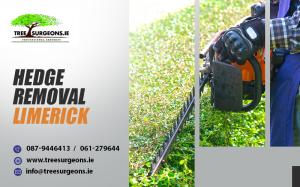 Want Hedge removal service in Limerick? Call Us!