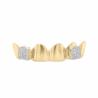 Affordable teeth Grillz at exotic diamonds