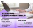 Auditing Assignment Sample