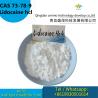 Buy Lidocaine Powder HCL on line with top quality