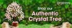 Buy the authentic crystal tree at  orgonites world