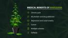 Cbd Benefits | Right Cbd Products For You