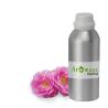 Various benefits of Rose Otto Essential Oil from Aromaaz International
