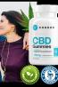 When to anticipate results from Condor CBD Gummies?
