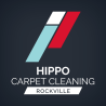 Mold Remediation Services in Rockville MD - Hippo Carpet Cleaning Rockville