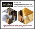 Affordable Hives and Swarms Removal Services in San Clemente