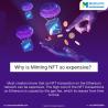 Get NFT Minting Engine Development Services