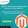 Magento Performance Optimization Services in USA, India, UK - Evrig Solutions