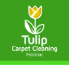 Professional Mold Cleanup in Potomac MD - Tulip Carpet Cleaning Potomac
