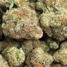 top-notch selection of cannabis flower,