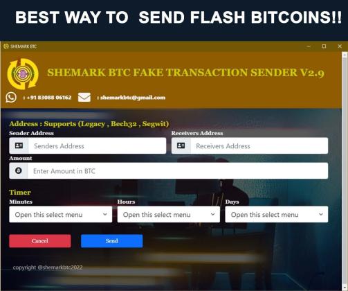 Learn how to create a fake BTC transaction