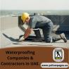 Best Building Repair & Maintenance Companies & Services in UAE.