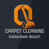Carpet Cleaning Hallandale Beach