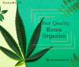 Get kuma cannabis | Kuma Organics