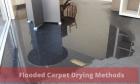 Melbourne's Best Flooded Carpet Cleaner | Capital Facility Services
