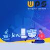 Online JAVA Application Development Services - Web Panel Solutions