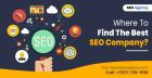 Where To Find The Best SEO Company?