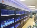 Under the Sea Aquatics | Fish Store | Fish Tanks | Freshwater & Saltwater Fish