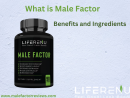 Male Factor Testosterone Booster for Men - Malefactorreviews
