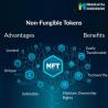 Mobiloitte's Fractional NFT Development: The Future of Digital Assets