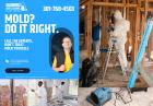 Mold Remediation Services in Silver Spring