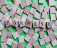 Are You Discovering Your Purpose in the USA?