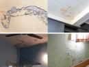 Wall seepage waterproofing Contractors