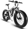 with Price Between $1850 to $2250 Three Fat Tire Electric Mountain Bikes