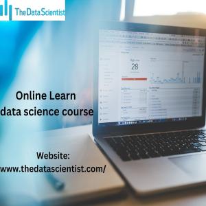 Online Learn data science course by thedatascientist
