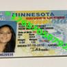 Minnesota Drivers License