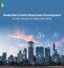 Mobiloitte's public blockchain development solutions - The perfect way to build trust!