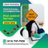 Pest Control Expertise in Berkshire