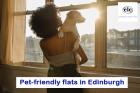 Pet-Friendly Flats in Edinburgh | Pet-Friendly Property in Edinburgh
