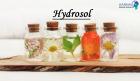 Use Hydrosols to Ease Your Life - Aarnav Global Exports
