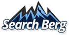 SEO Services | Buy Search Engine Optimization Services - Search Berg