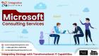 Professional Microsoft Consulting Services