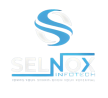Digital Marketing Services Provider - Selnox Infotech