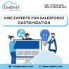 Hire Experts for Salesforce Customization - Codinix Technologies