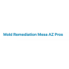 Mold Remediation Mesa AZ Pros