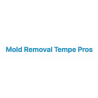 Mold Removal Tempe Pros