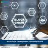 Blockchain Development Company in USA