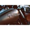 Harley Davidson Rental in New Orleans