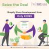 Maximize Your Sales with an Effective Shopify Store Development